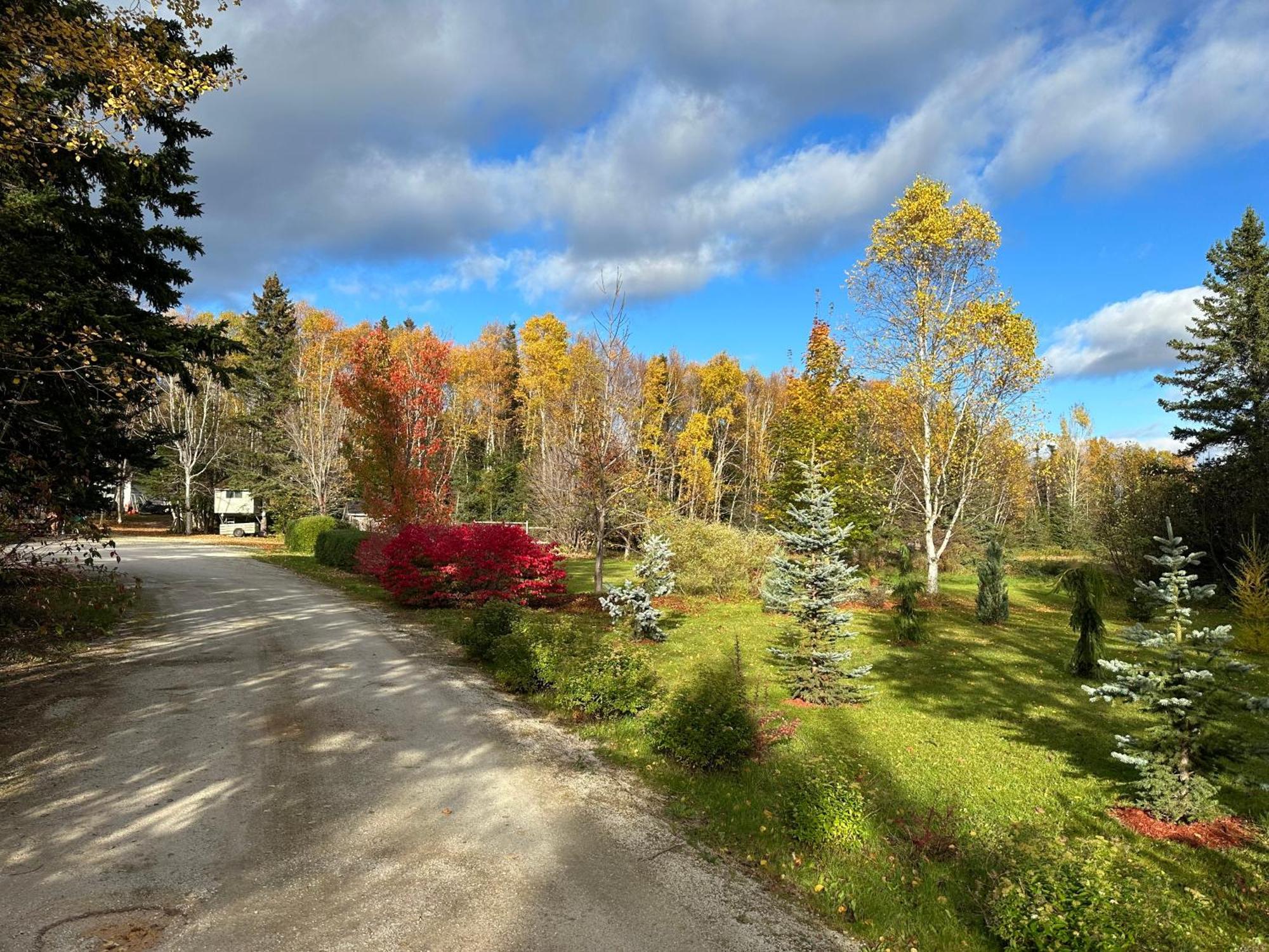 Eden Estate B&B Reidville Exteriér fotografie