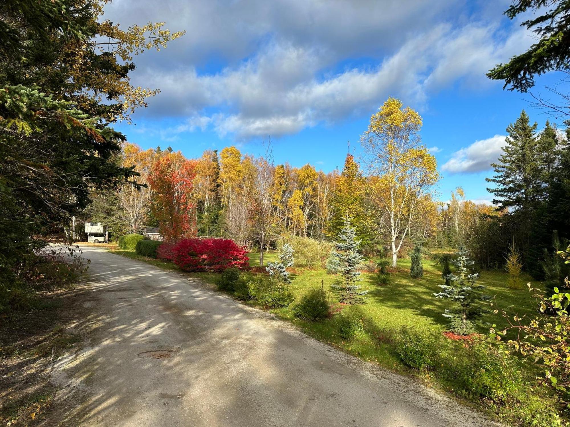Eden Estate B&B Reidville Exteriér fotografie
